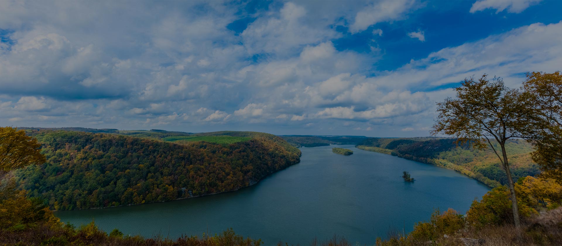 Image of Primary